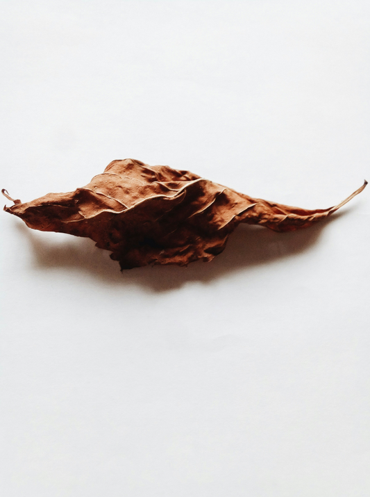Vanilla Tobacco 12 oz scented candle
