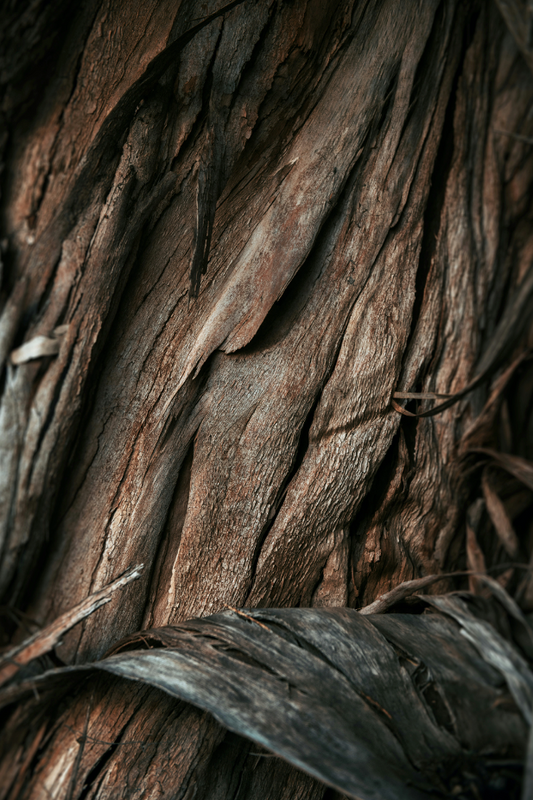 Vanilla Sandalwood 32 oz 2-In-1