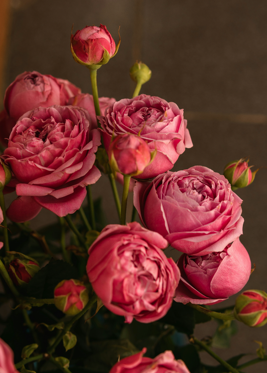 Rose & Peony 50 ml Perfume Oil Dropper