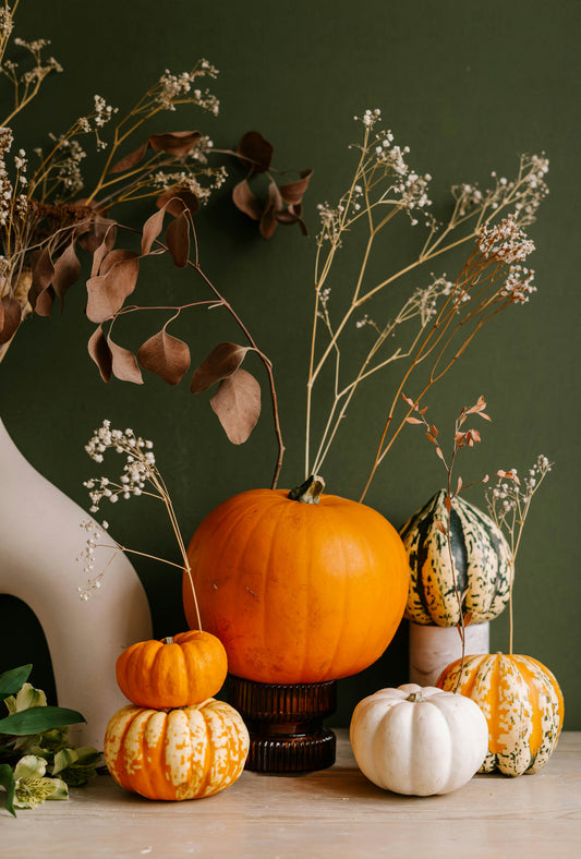 Sand + Paws Pumpkin & Eucalyptus 12 oz scented candle
