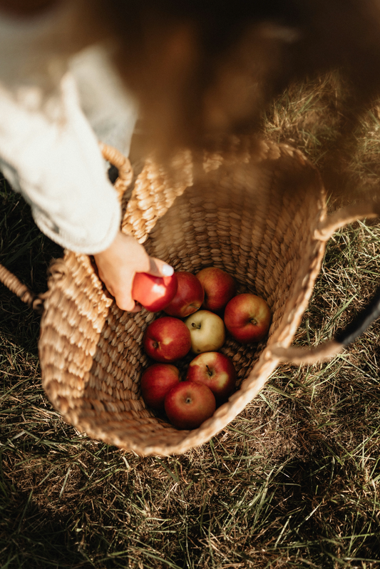 Apple Picking 12 oz scented candle