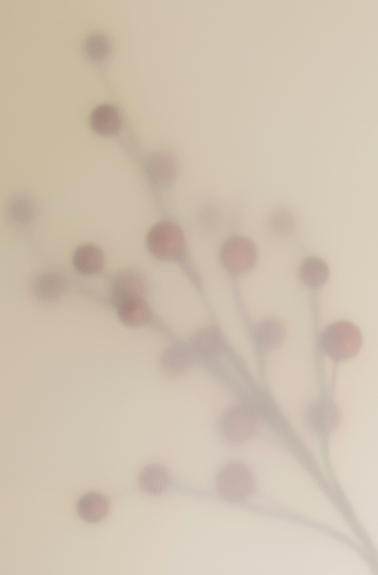 Goji Berry 100 ml Room Spray