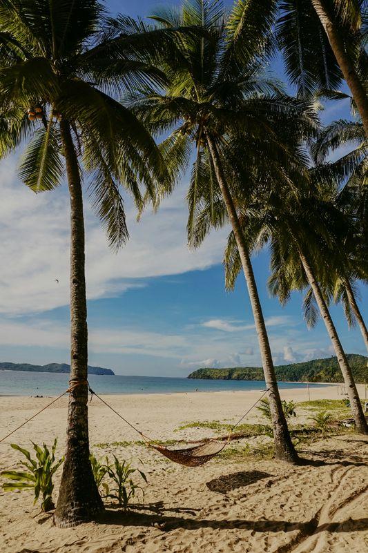 Tahitian Vanilla 11.8 oz Foaming Hand Soap
