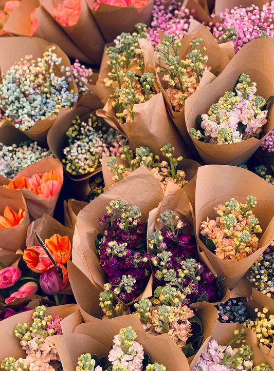Rue de Fleur 50ml Perfume Oil Dropper