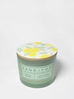 Lemon Sugar 12 oz scented candle